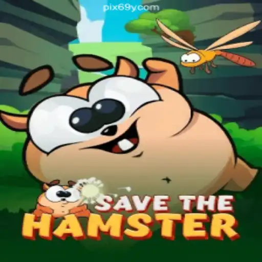 Discover the Exciting World of SavetheHamster on 69Y.COM